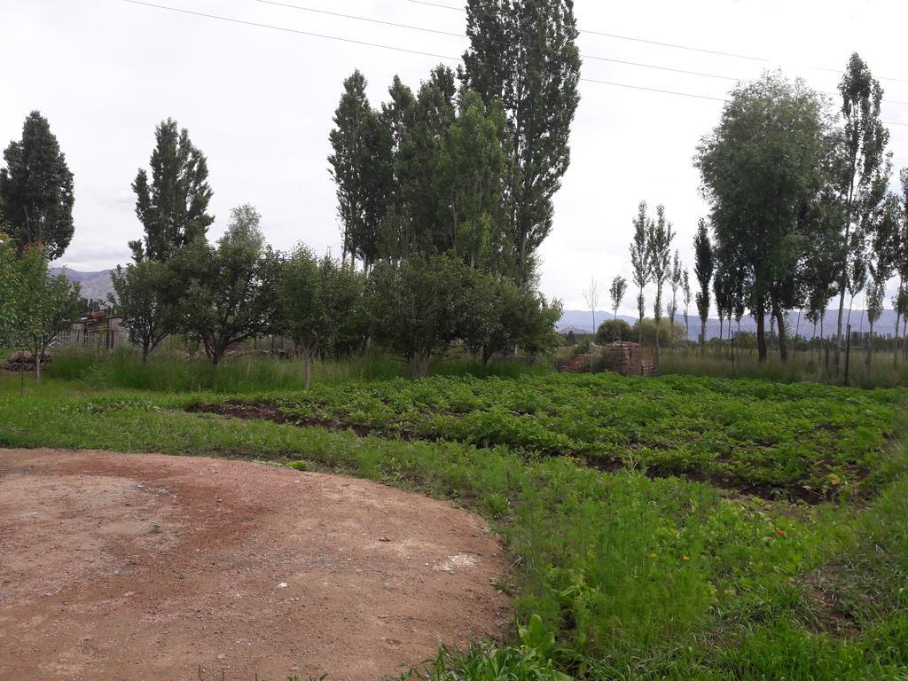 Guest House Baytur Kochkor Εξωτερικό φωτογραφία